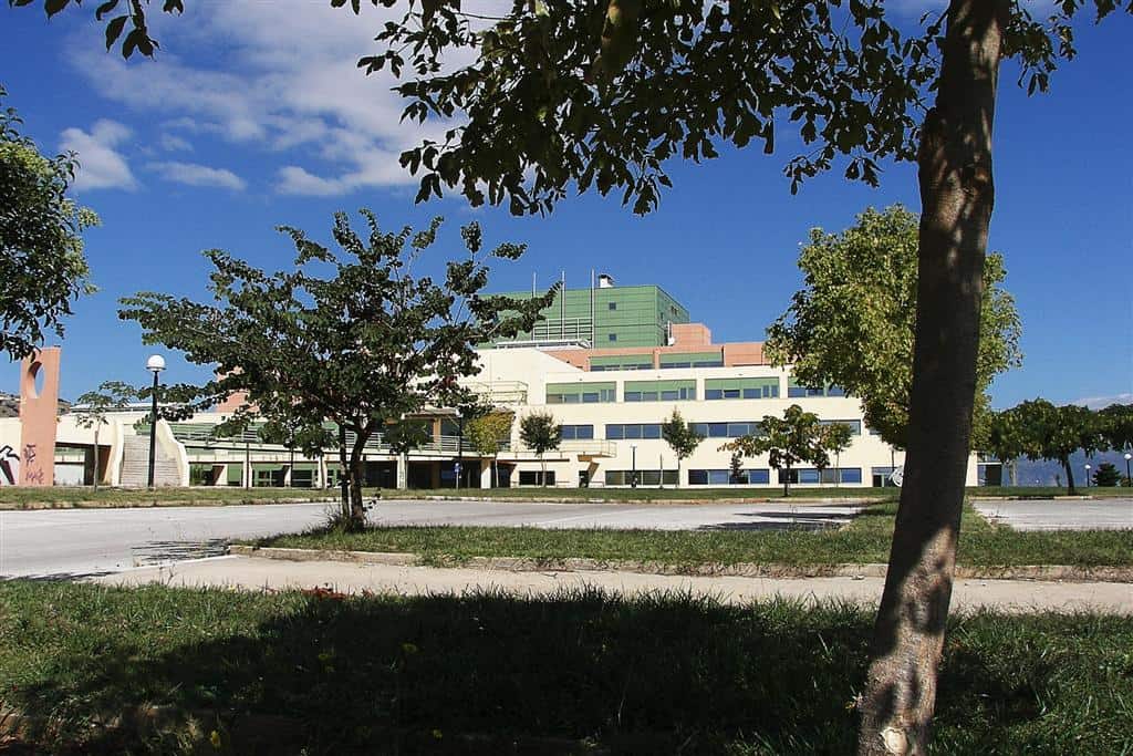 The central Library