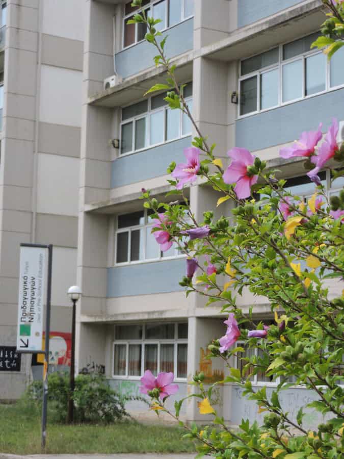 dscn2695