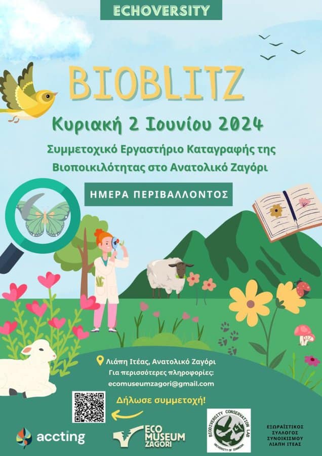 bet zagori poster
