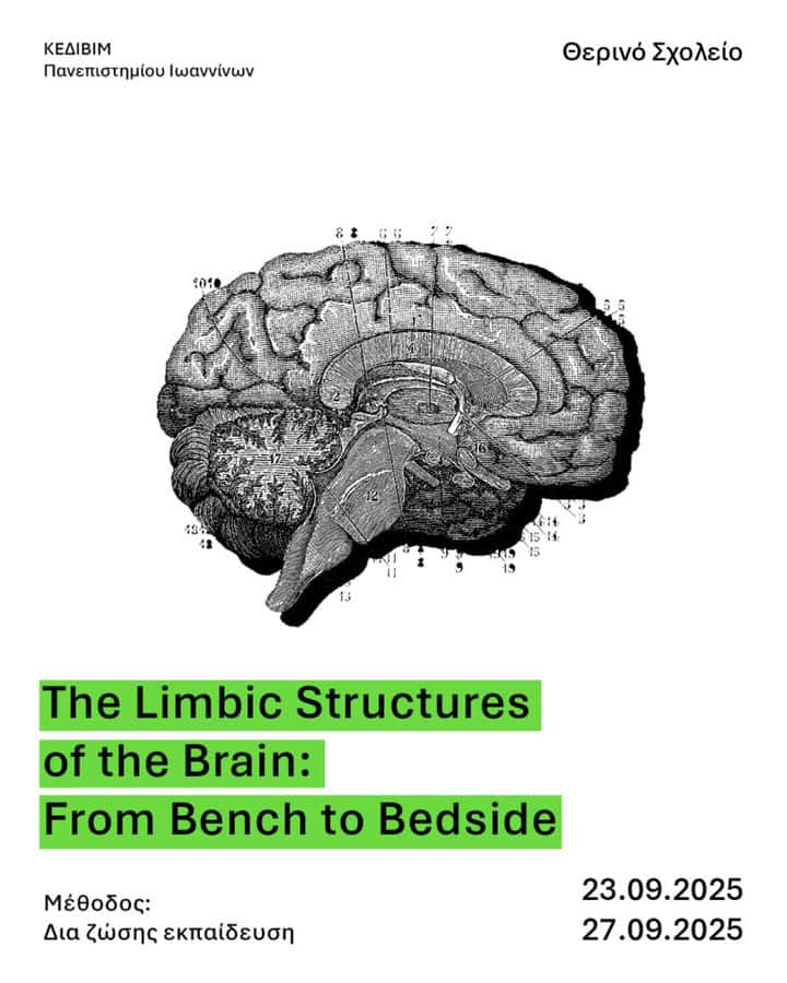 the limbic structures of the brain from bench to bedside copy